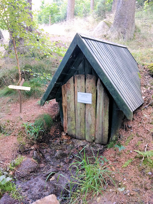 studánka U Benišova mlýna (13425) - červenec 2020