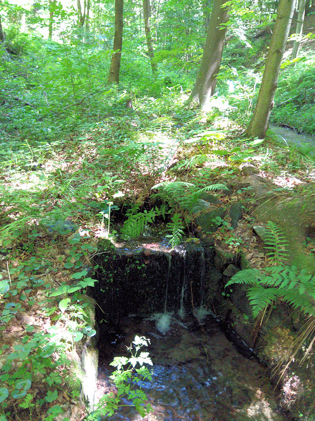 Kamenná studánka (13427) - červenec 2020