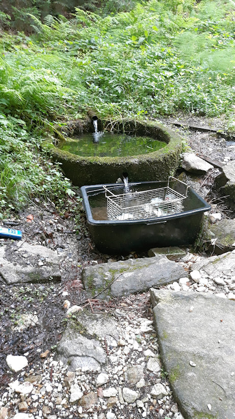 studánka Zrcadlo hvězd (13441) - červenec 2020