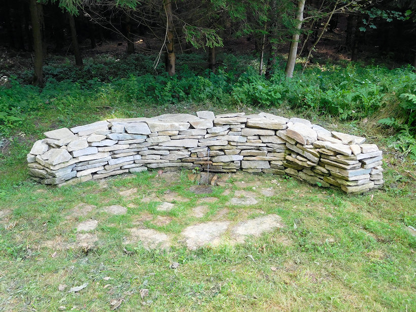 jiný vodní zdroj U Slonkovy chaty (13442) - červenec 2020
