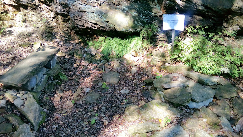 studánka bez jména (13444) - červenec 2020