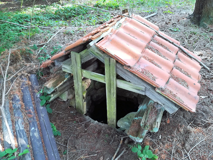 studánka Na Brodech (13464) - srpen 2020