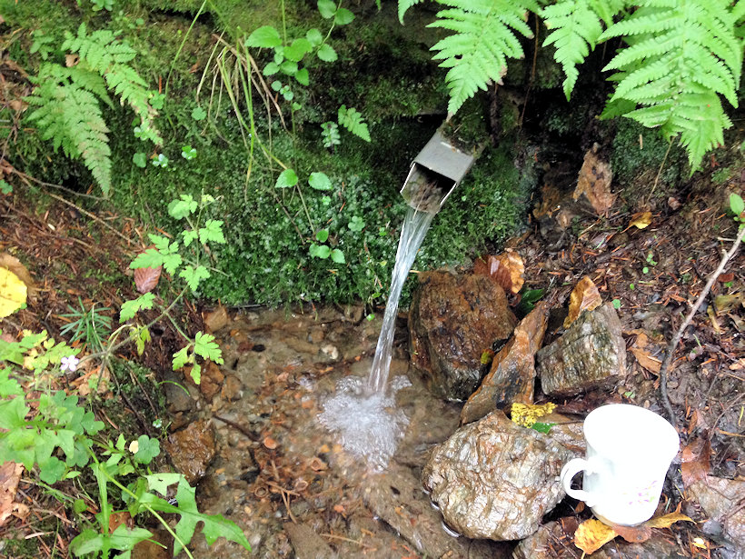 studánka bez jména (13473) - září 2020