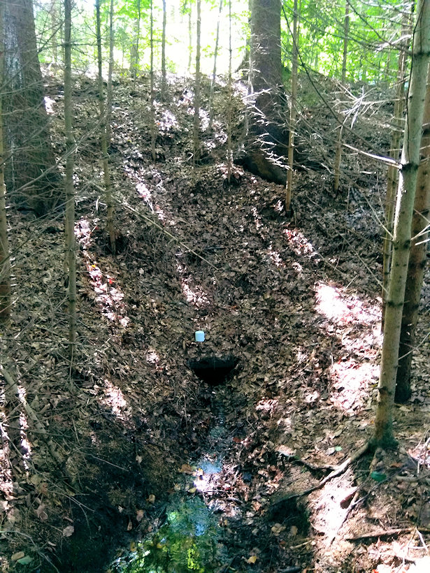studánka Potočnice 2 (13475) - srpen 2020