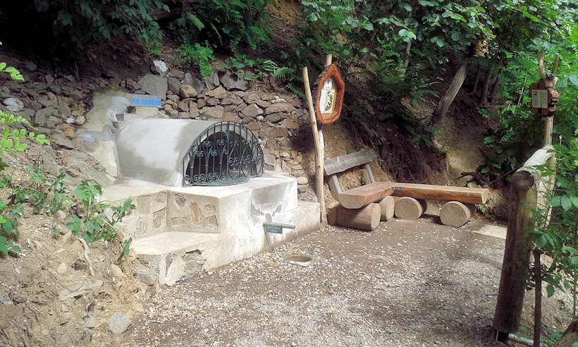 studánka Pod doubkem  (13486) - červenec 2019