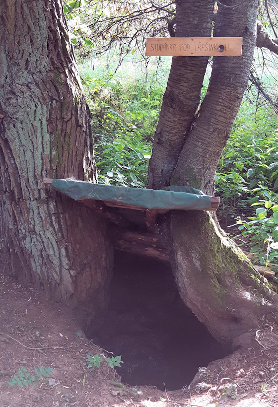 studánka Pod třešínkou (13489) - srpen 2020